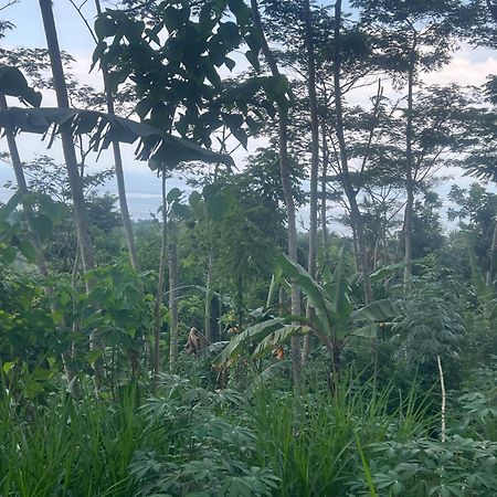 Pondok Manca Undisan Exterior foto